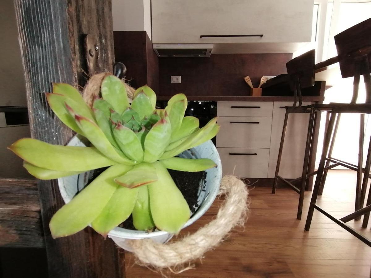 Apartmani Kiko 波雷奇 外观 照片